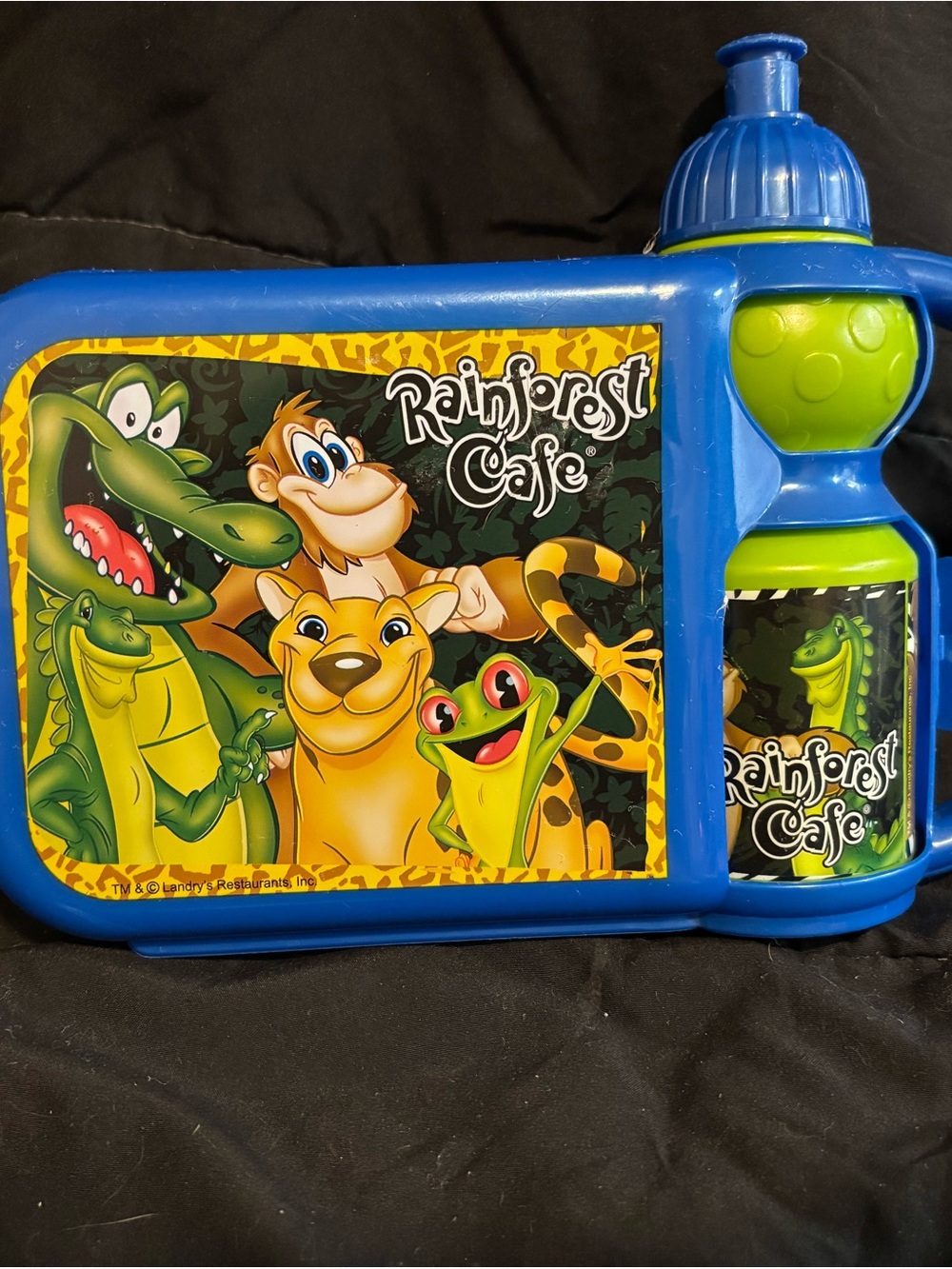 RAINFOREST Blue and Green Kids Reptile-Themed Lunch Set